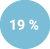 19 %