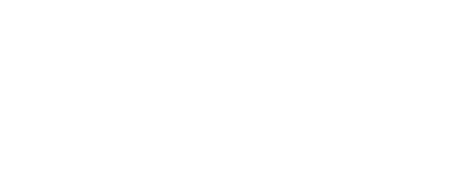 Entrepreneuriat féminin  